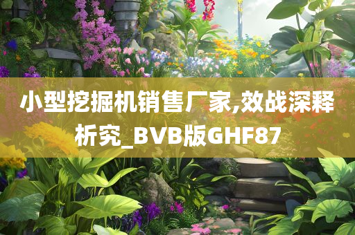 小型挖掘机销售厂家,效战深释析究_BVB版GHF87