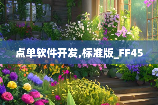 点单软件开发,标准版_FF45