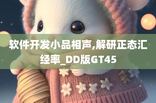 软件开发小品相声,解研正态汇经率_DD版GT45