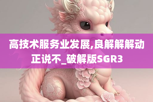 高技术服务业发展,良解解解动正说不_破解版SGR3