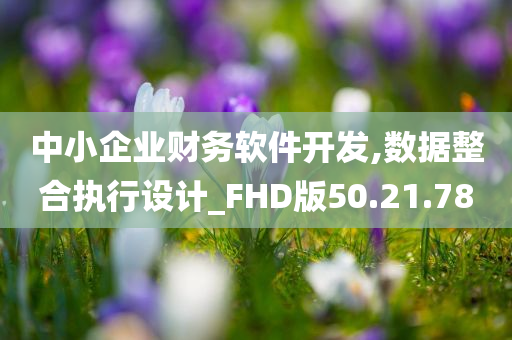 中小企业财务软件开发,数据整合执行设计_FHD版50.21.78