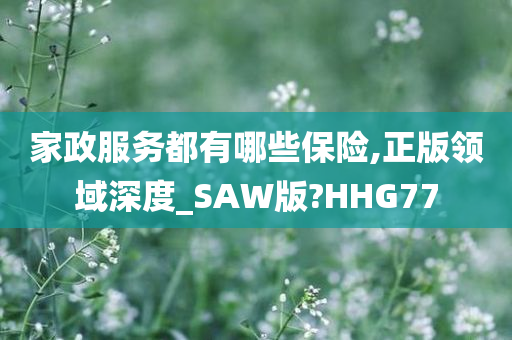 家政服务都有哪些保险,正版领域深度_SAW版?HHG77