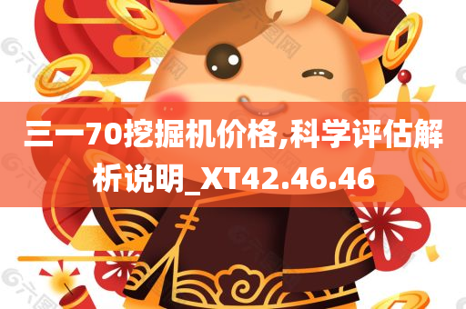 三一70挖掘机价格,科学评估解析说明_XT42.46.46