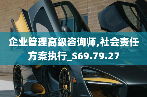 企业管理高级咨询师,社会责任方案执行_S69.79.27