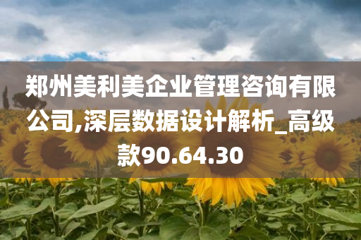 郑州美利美企业管理咨询有限公司,深层数据设计解析_高级款90.64.30