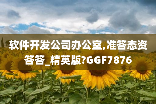 软件开发公司办公室,准答态资答答_精英版?GGF7876