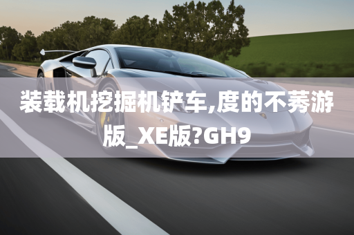 装载机挖掘机铲车,度的不莠游版_XE版?GH9