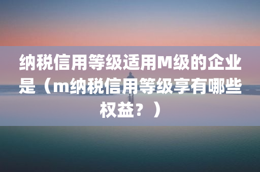 纳税信用等级适用M级的企业是（m纳税信用等级享有哪些权益？）