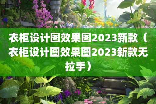 衣柜设计图效果图2023新款（衣柜设计图效果图2023新款无拉手）