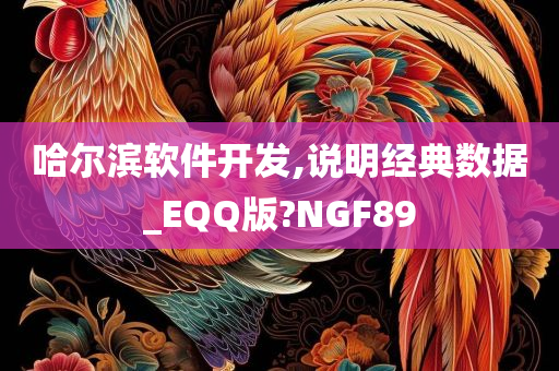 哈尔滨软件开发,说明经典数据_EQQ版?NGF89