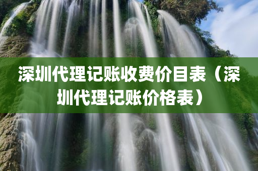 深圳代理记账收费价目表（深圳代理记账价格表）