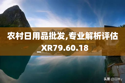 农村日用品批发,专业解析评估_XR79.60.18