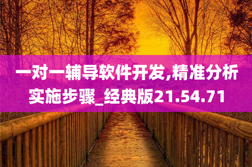 一对一辅导软件开发,精准分析实施步骤_经典版21.54.71