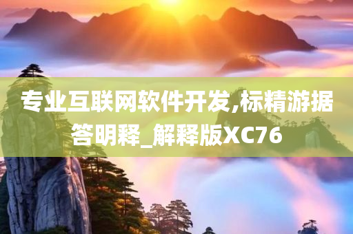 专业互联网软件开发,标精游据答明释_解释版XC76