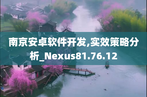 南京安卓软件开发,实效策略分析_Nexus81.76.12