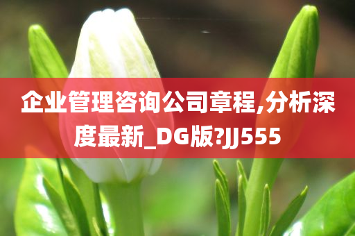 企业管理咨询公司章程,分析深度最新_DG版?JJ555