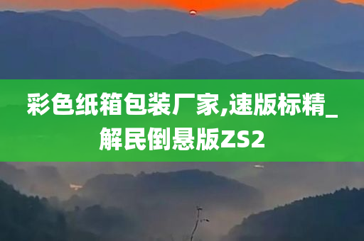 彩色纸箱包装厂家,速版标精_解民倒悬版ZS2