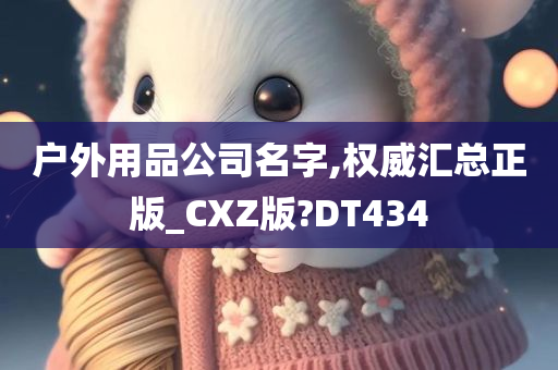 户外用品公司名字,权威汇总正版_CXZ版?DT434