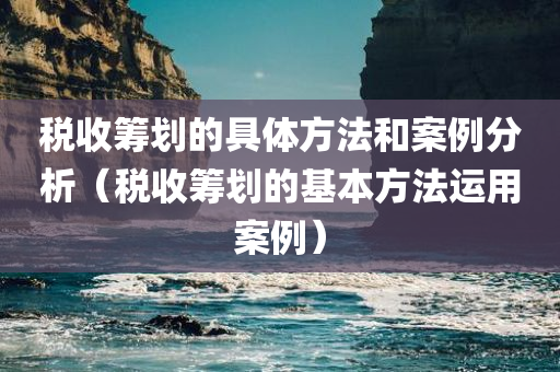 税收筹划的具体方法和案例分析（税收筹划的基本方法运用案例）