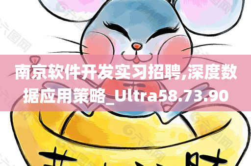 南京软件开发实习招聘,深度数据应用策略_Ultra58.73.90