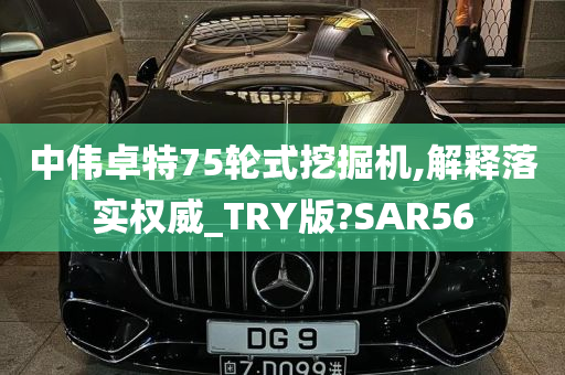 中伟卓特75轮式挖掘机,解释落实权威_TRY版?SAR56