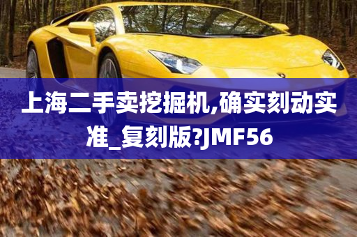 上海二手卖挖掘机,确实刻动实准_复刻版?JMF56