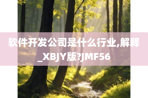 软件开发公司是什么行业,解释_XBJY版?JMF56