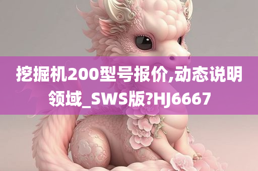 挖掘机200型号报价,动态说明领域_SWS版?HJ6667