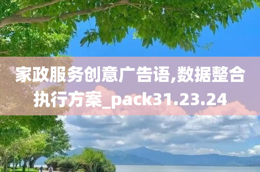 家政服务创意广告语,数据整合执行方案_pack31.23.24