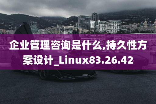 企业管理咨询是什么,持久性方案设计_Linux83.26.42