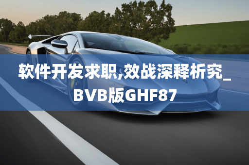 软件开发求职,效战深释析究_BVB版GHF87