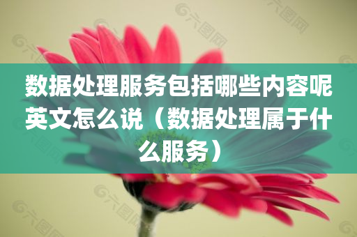 数据处理服务包括哪些内容呢英文怎么说（数据处理属于什么服务）