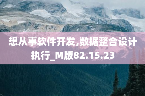 想从事软件开发,数据整合设计执行_M版82.15.23