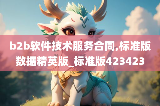 b2b软件技术服务合同,标准版数据精英版_标准版423423