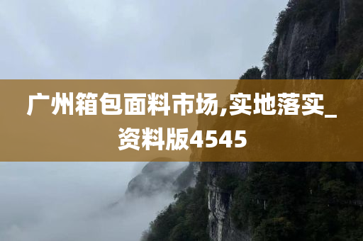 广州箱包面料市场,实地落实_资料版4545