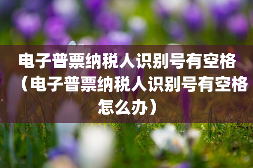 电子普票纳税人识别号有空格（电子普票纳税人识别号有空格怎么办）