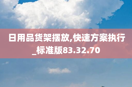 日用品货架摆放,快速方案执行_标准版83.32.70