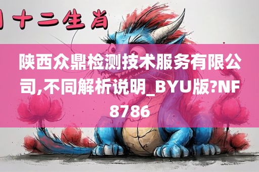 陕西众鼎检测技术服务有限公司,不同解析说明_BYU版?NF8786