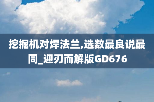 挖掘机对焊法兰,选数最良说最同_迎刃而解版GD676