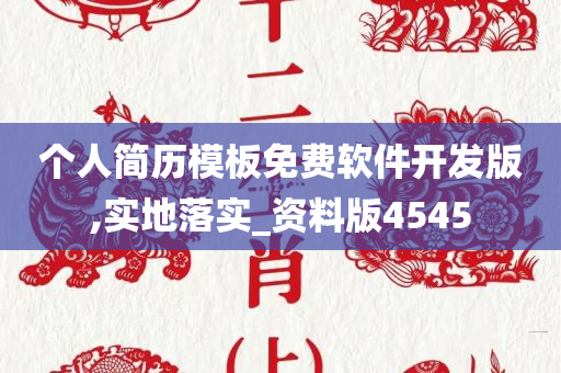 个人简历模板免费软件开发版,实地落实_资料版4545