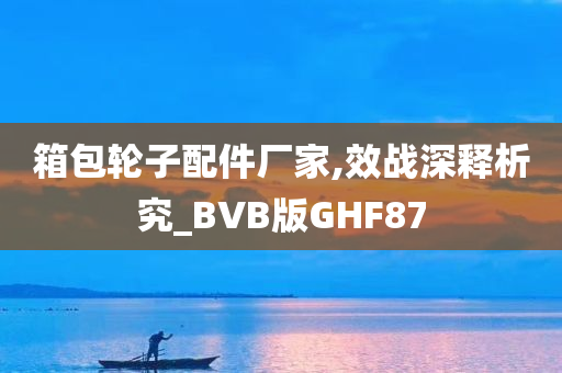 箱包轮子配件厂家,效战深释析究_BVB版GHF87