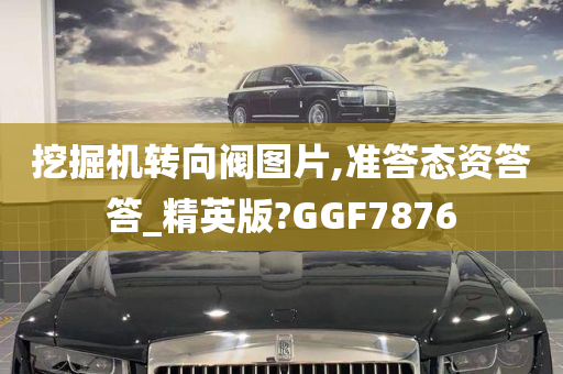 挖掘机转向阀图片,准答态资答答_精英版?GGF7876