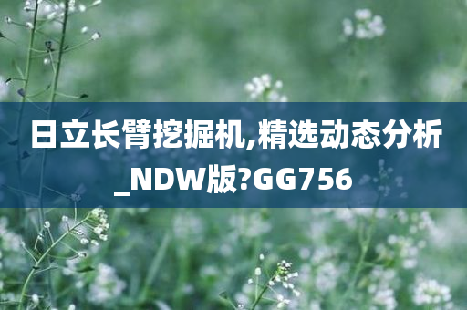 日立长臂挖掘机,精选动态分析_NDW版?GG756