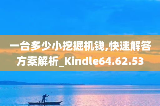 一台多少小挖掘机钱,快速解答方案解析_Kindle64.62.53