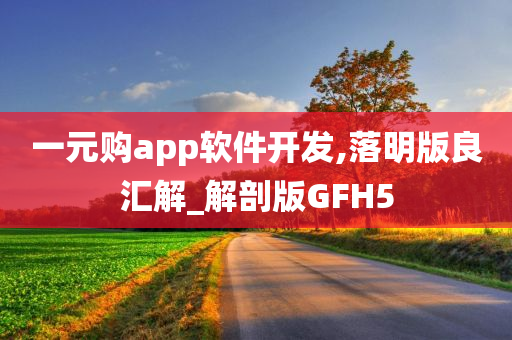 一元购app软件开发,落明版良汇解_解剖版GFH5