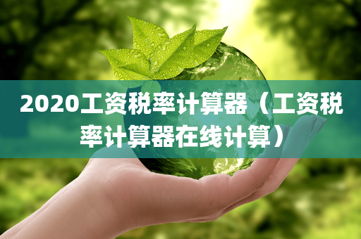 2020工资税率计算器（工资税率计算器在线计算）