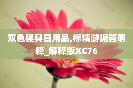 双色模具日用品,标精游据答明释_解释版XC76