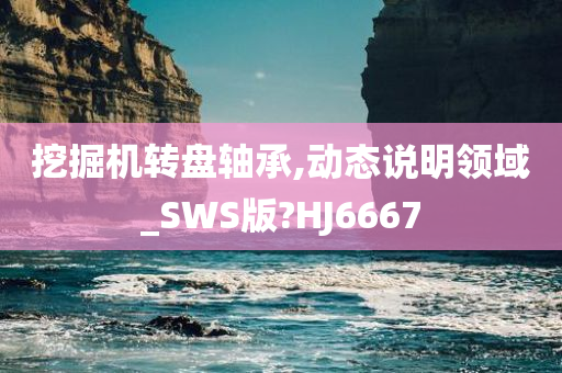 挖掘机转盘轴承,动态说明领域_SWS版?HJ6667