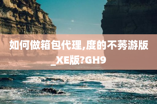 如何做箱包代理,度的不莠游版_XE版?GH9