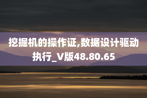 挖掘机的操作证,数据设计驱动执行_V版48.80.65